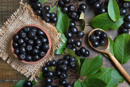Ce este aronia și de ce este bine sa o consumi in fiecare zi?
