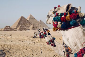 Trăiți ca un localnic: Cum să vă integrați în cultura locurilor pe care le vizitați când călătoriți în Egipt