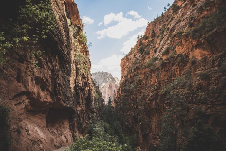 mountain