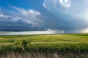 agriculture
