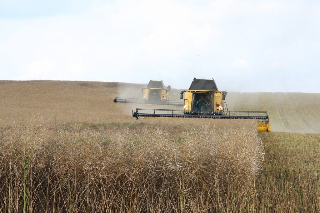 agriculture