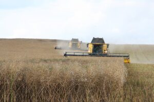 agriculture