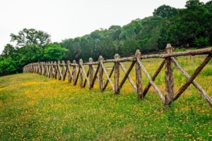 country