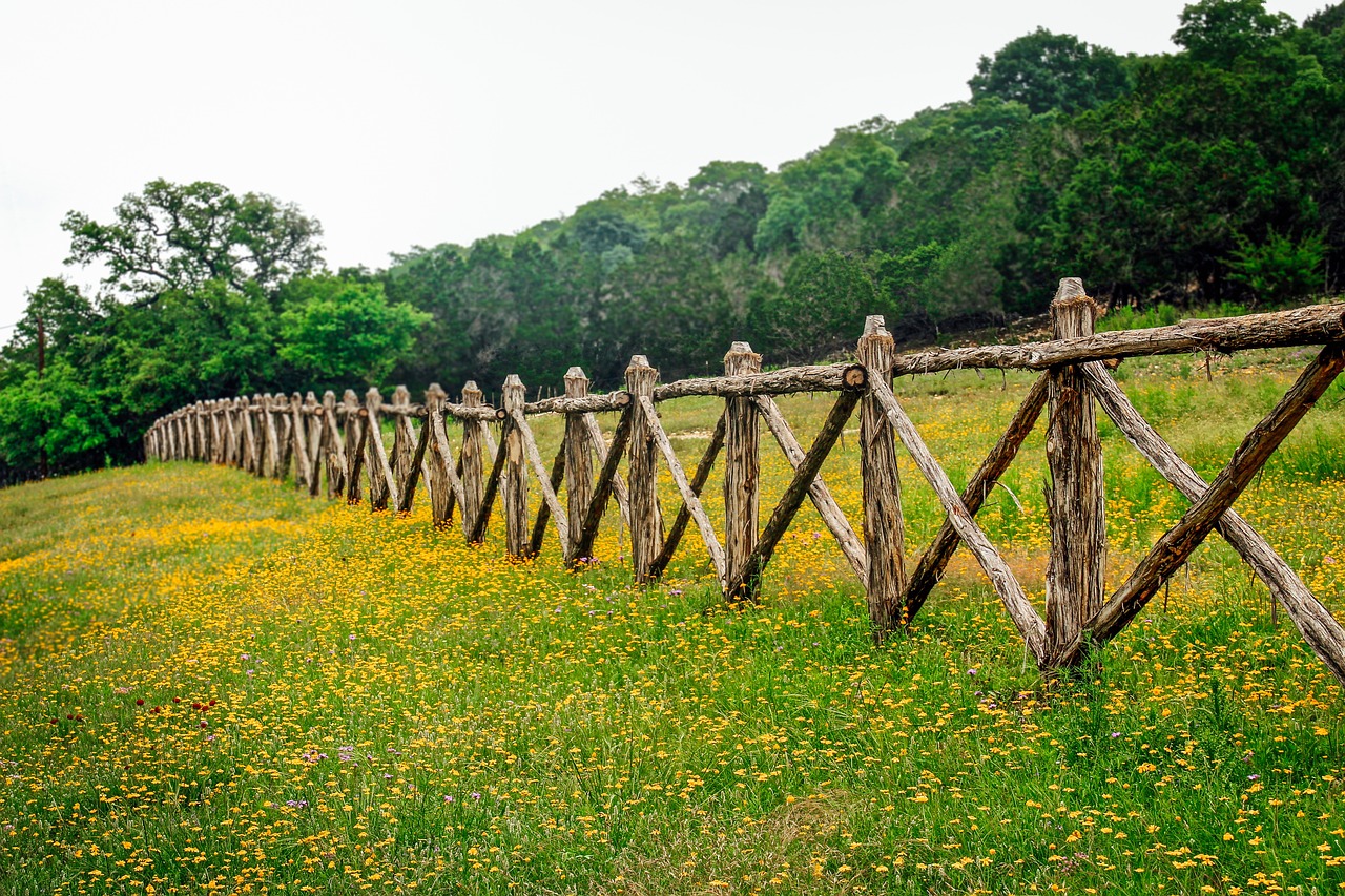 country