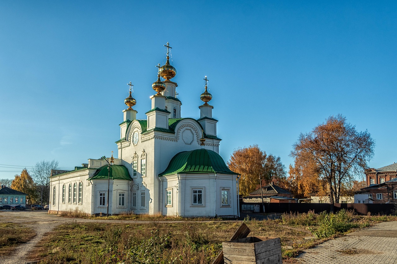 mosii de iarna 2025 ce se imparte