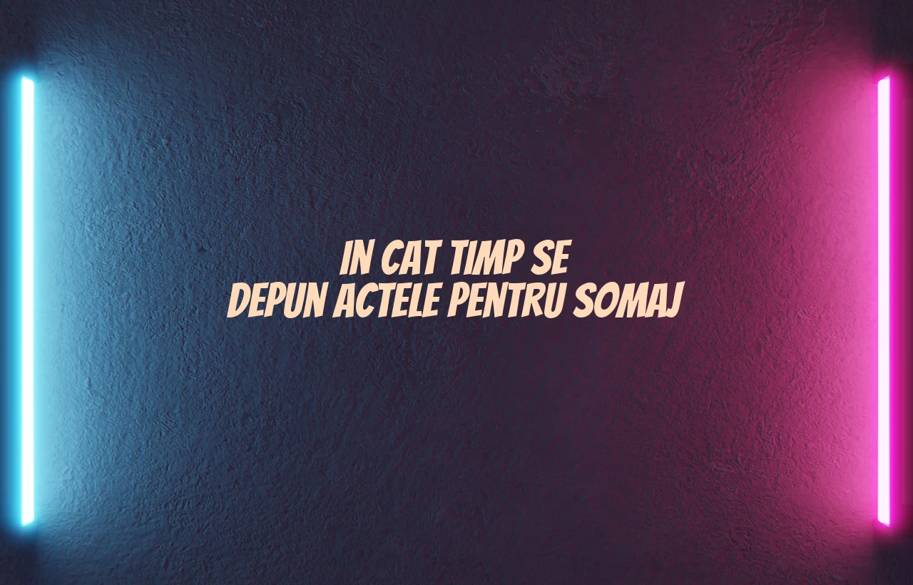 in cat timp se depun actele pentru somaj