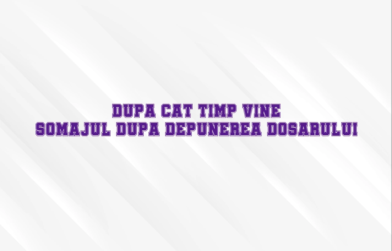 dupa cat timp vine somajul dupa depunerea dosarului