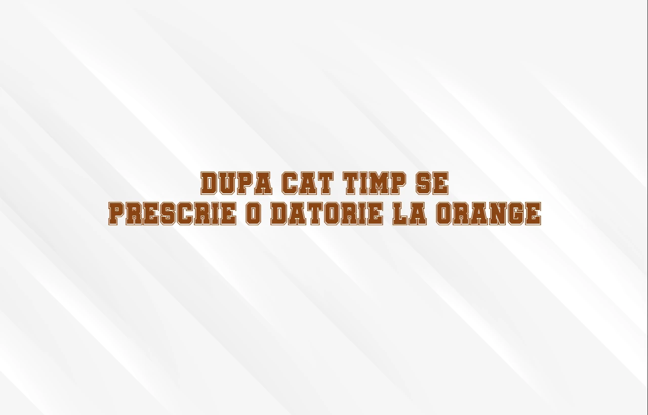 dupa cat timp se prescrie o datorie la orange