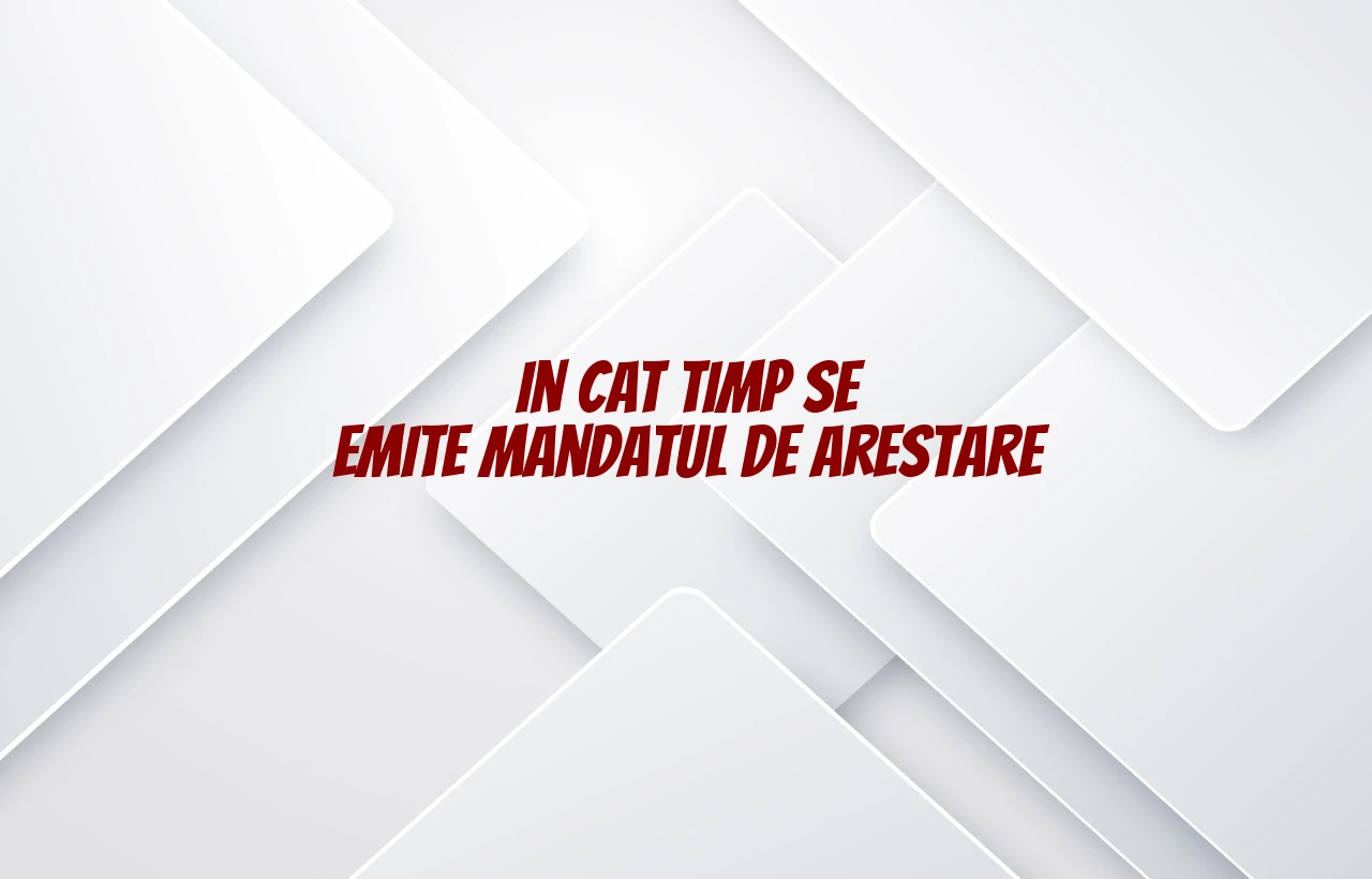 in cat timp se emite mandatul de arestare