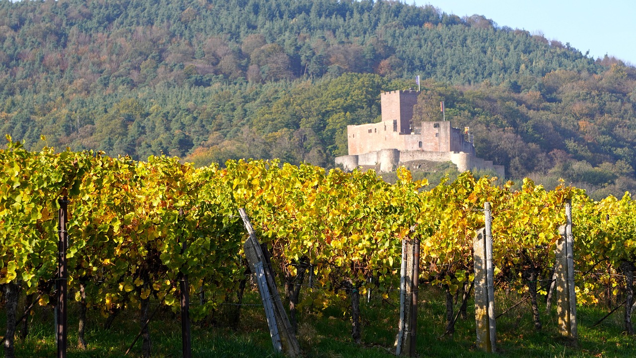 castelul mimi