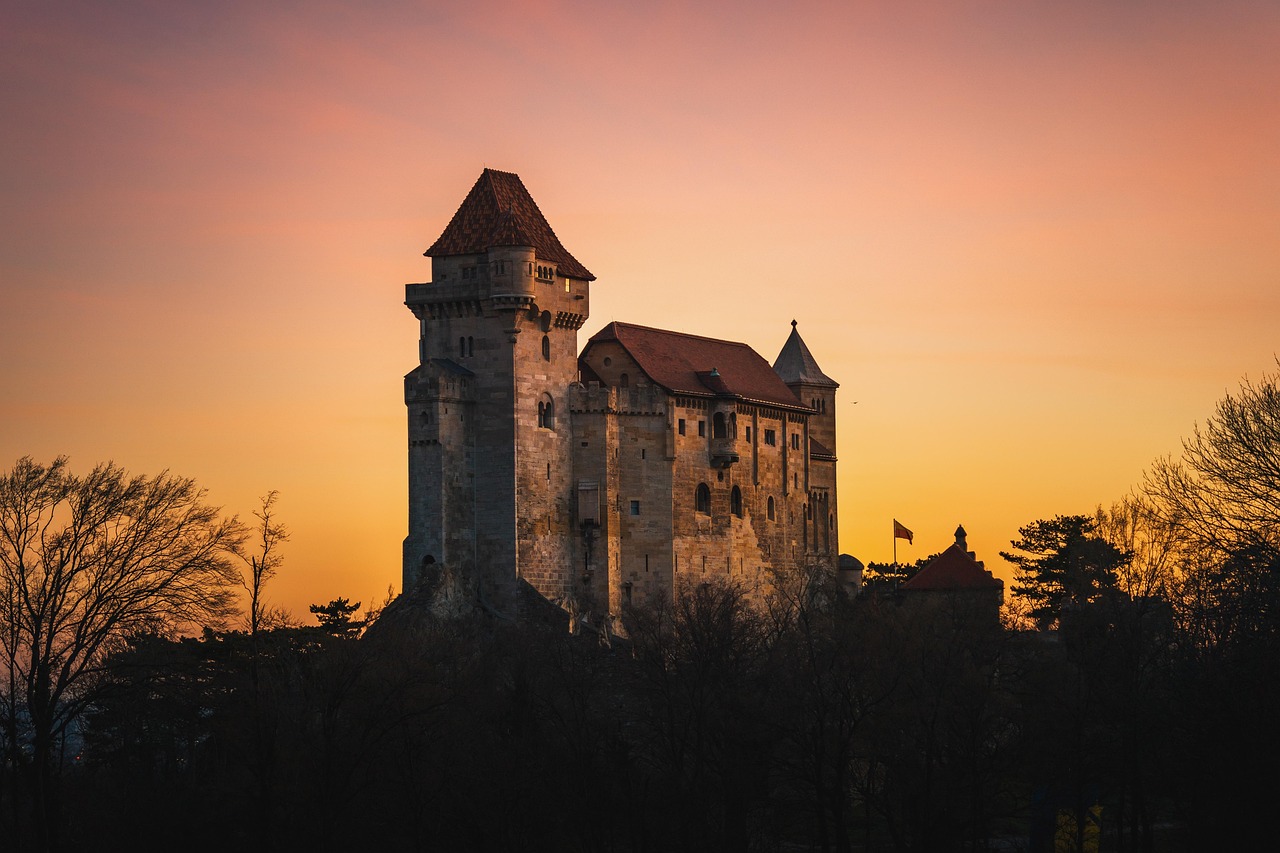 castelul printul vanator