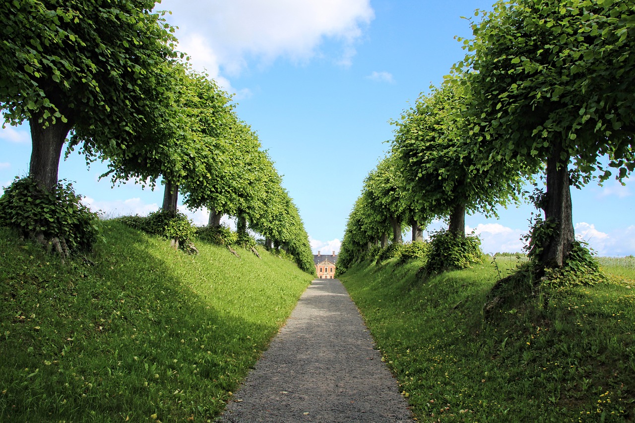 castelul sturza